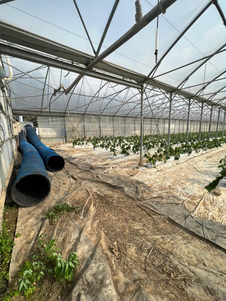 Des récoltes agricoles préservées grâce à la location de chauffages !