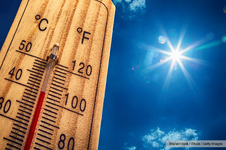 Canicule record : jusqu’à 45°C en France. Quelles sont les solutions à portée de main ?