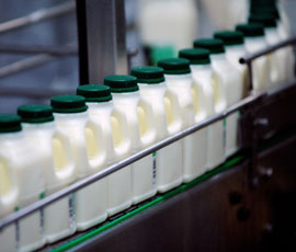 lait Location groupe froid pour la production laitière