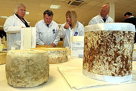 n°317 Dégustation de fromage Location refroidisseurs pour le salon du fromage